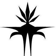 FREEDOM FIGHTERS CLOTHING                   FREEDOM FOR THE PLANT