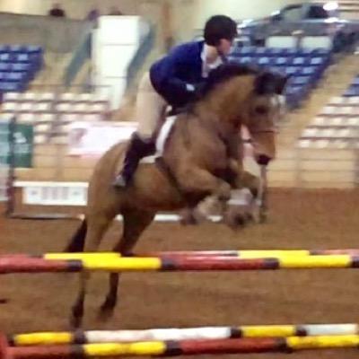 A collection of things that horse people can relate to.