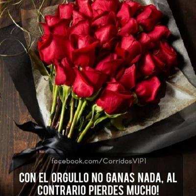 FaloYamir's profile picture. 