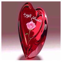 مطلقه ممحونه ترضع (@falzahraa831) Twitter profile photo