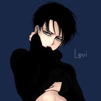 Captain of the most elite group of the Survey Corps. Slaughtering Titans and cleaning what's dirty. If the brat Eren is to die, it will be /my/ hand. // AoT RP