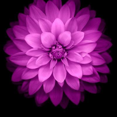 mumr11's profile picture. 