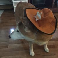 Pablo Esquire (@t6waver) 's Twitter Profile