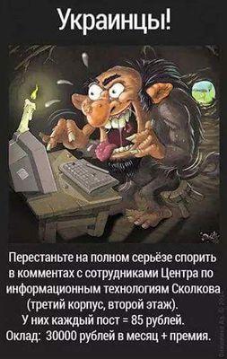 polkan70's profile picture. 