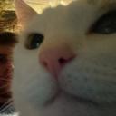 justin steiger - @justinsteiger11 - Twitter