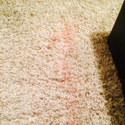 eatrocksanddie's profile picture. 