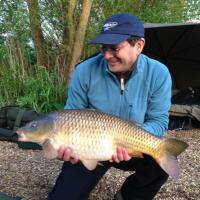 Peter (@psinglehurst1) 's Twitter Profile