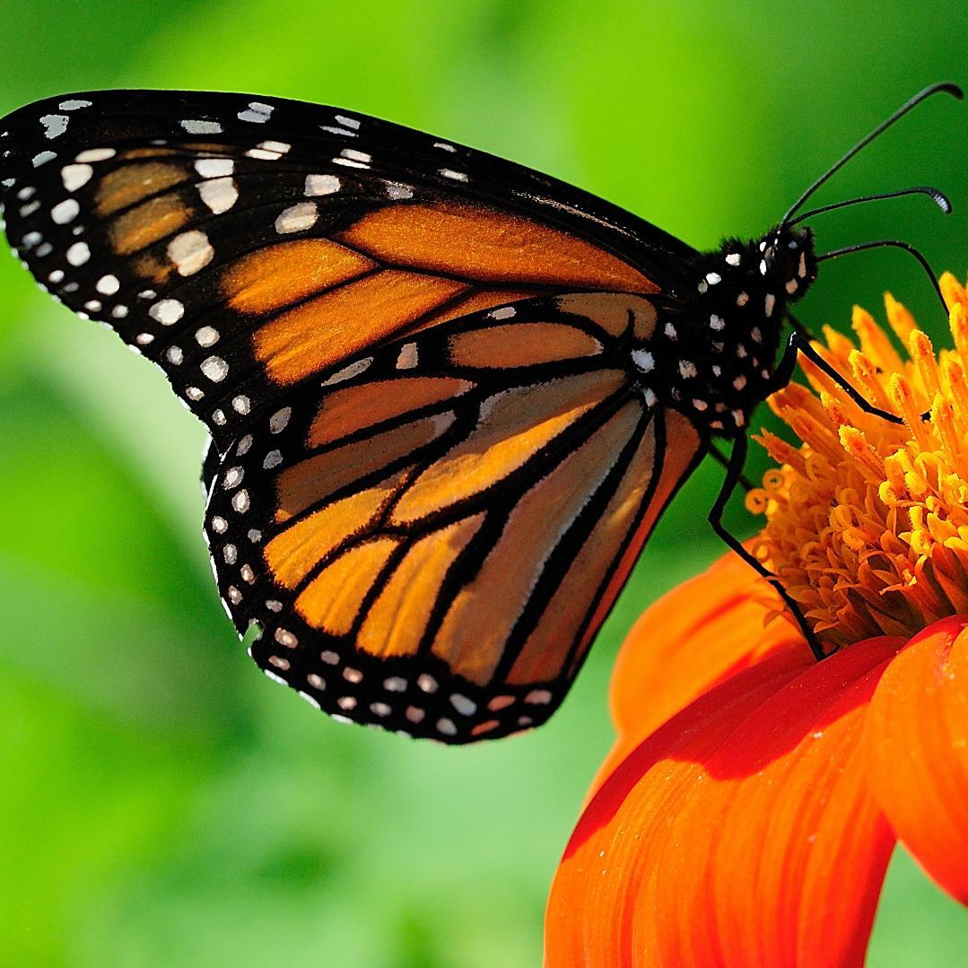 govindballabhjo's profile picture. individual Film reviewer