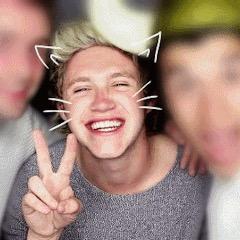 NIALL WILL FOLLOW ME ONE DAY xx