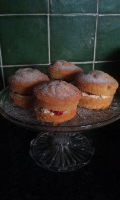 Cake Baker extraordinaire, blue arsed fly, prone to burst into song at any moment.
