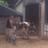 mattnorman1981's profile image