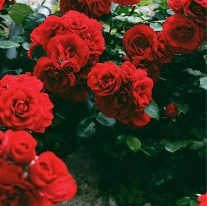 VetaRobertovna's profile picture. 