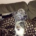 Julia Wolfe - @princess8291987 - Twitter