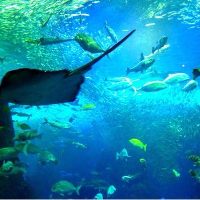 orange_candy03's profile picture. 