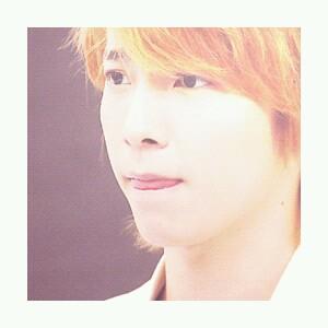 〈28 ○ Super Junior ○ ELFish ○ No soy tonto〉