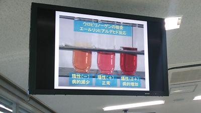 臨検、独り言