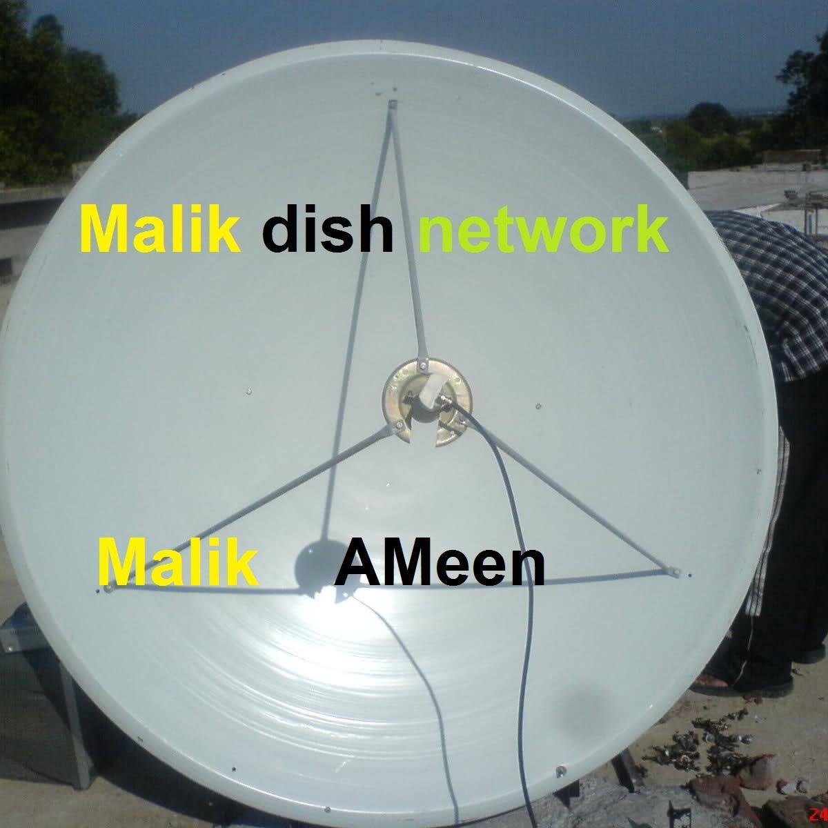 malikameen11's profile picture. 