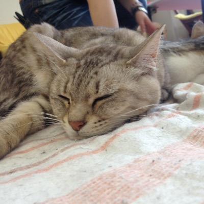 PHPにばかり縁がありましたが最近はhttps://t.co/vUjZZyM7hNやってます。ここ1年ほどはマネジメント業ばかりだったのでエンジニア脳に戻すのが大変です(´；ω；`)ｳｩｩ