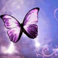 Follow me and I follow you back