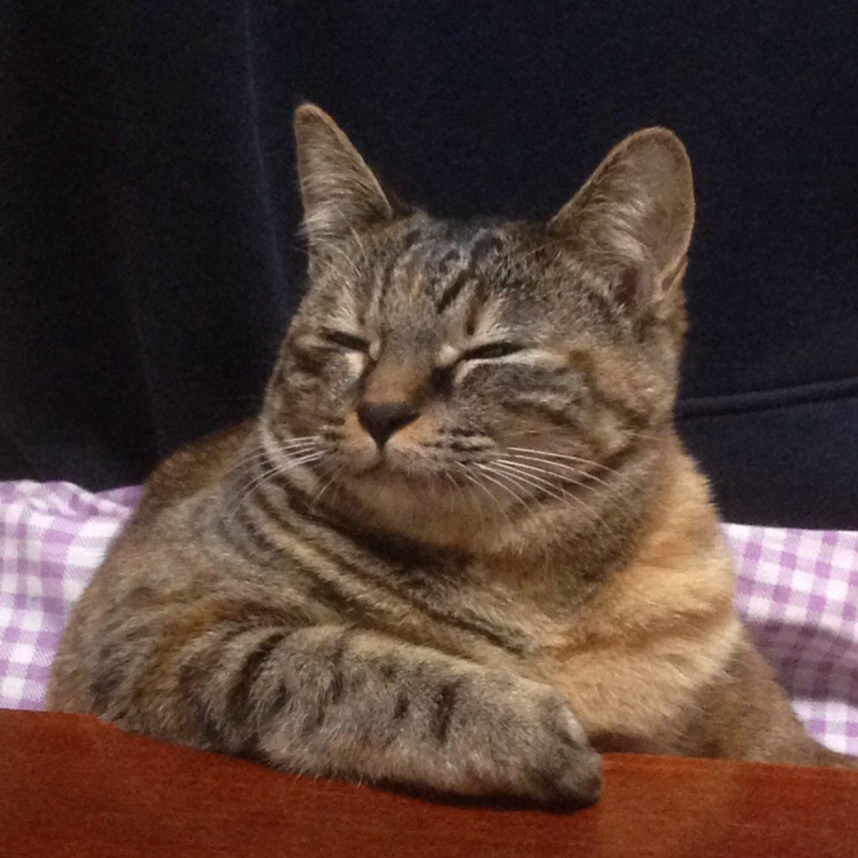 ドラム叩いたりする