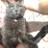 Lizzles32's profile image
