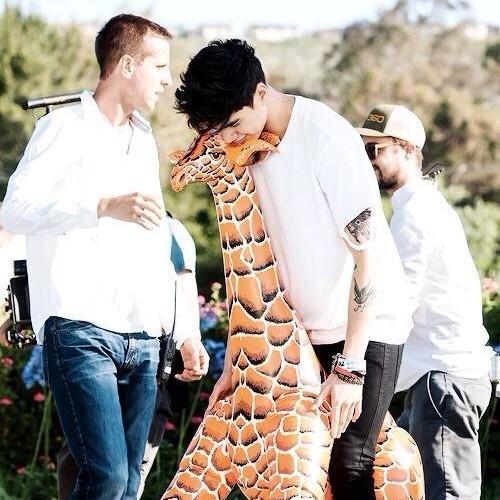 Hi❤❤ I gave you a free follow so please go follow ➡@Stop_it_Calum⬅