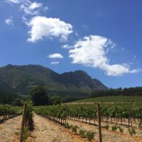 Paula Dixon (@pauladixon61) 's Twitter Profile Photo