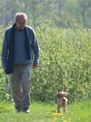 decleyn6's profile picture. vrijwilliger Babbelberg