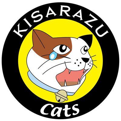 どうも僕です。