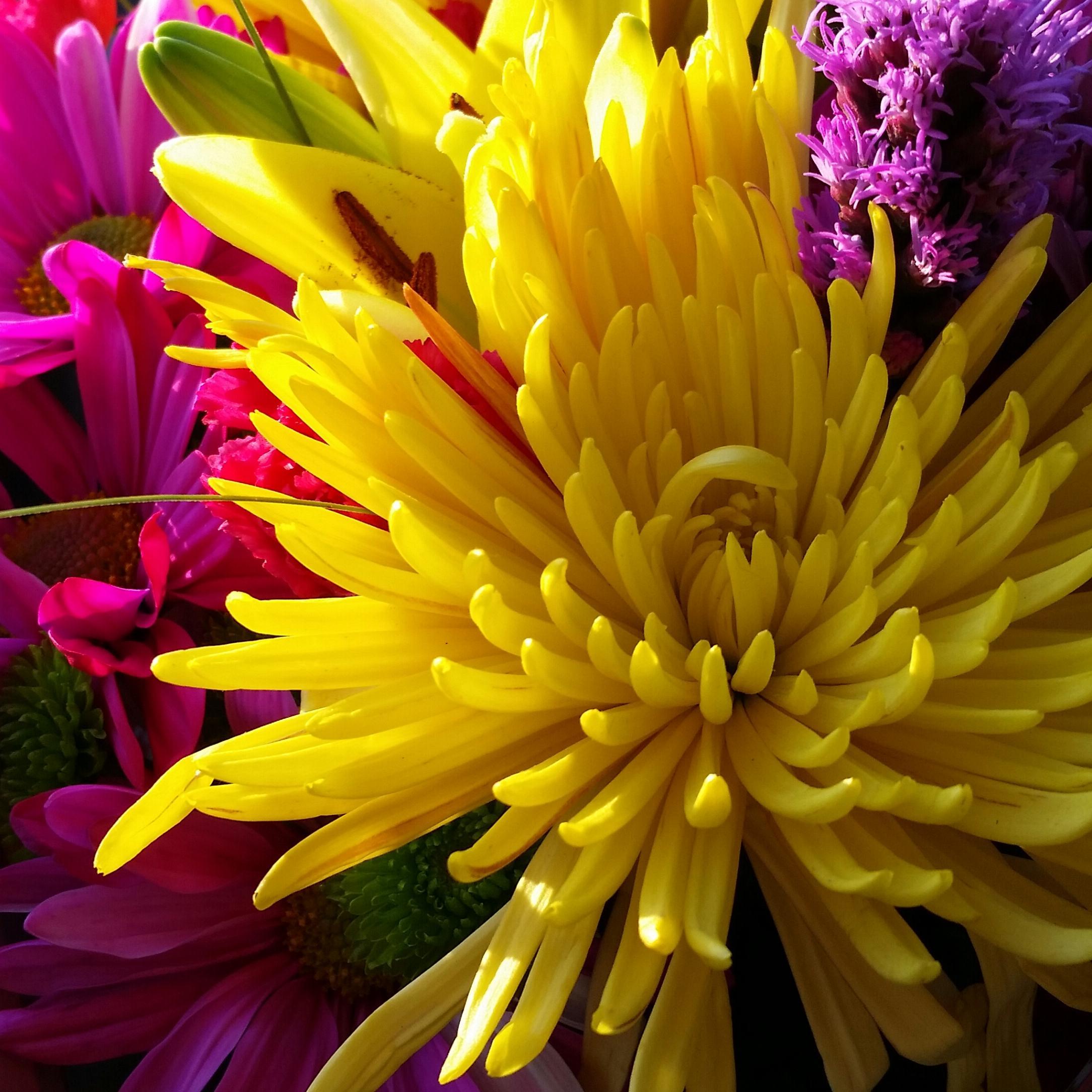 Inspiration3652's profile picture. Inspiration 365 is a company that creates personalized greeting cards for all occasions.Let us write what you feel in your heart.