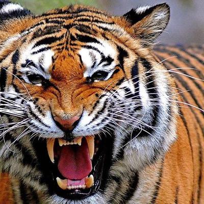 fatjon_068's profile picture. 