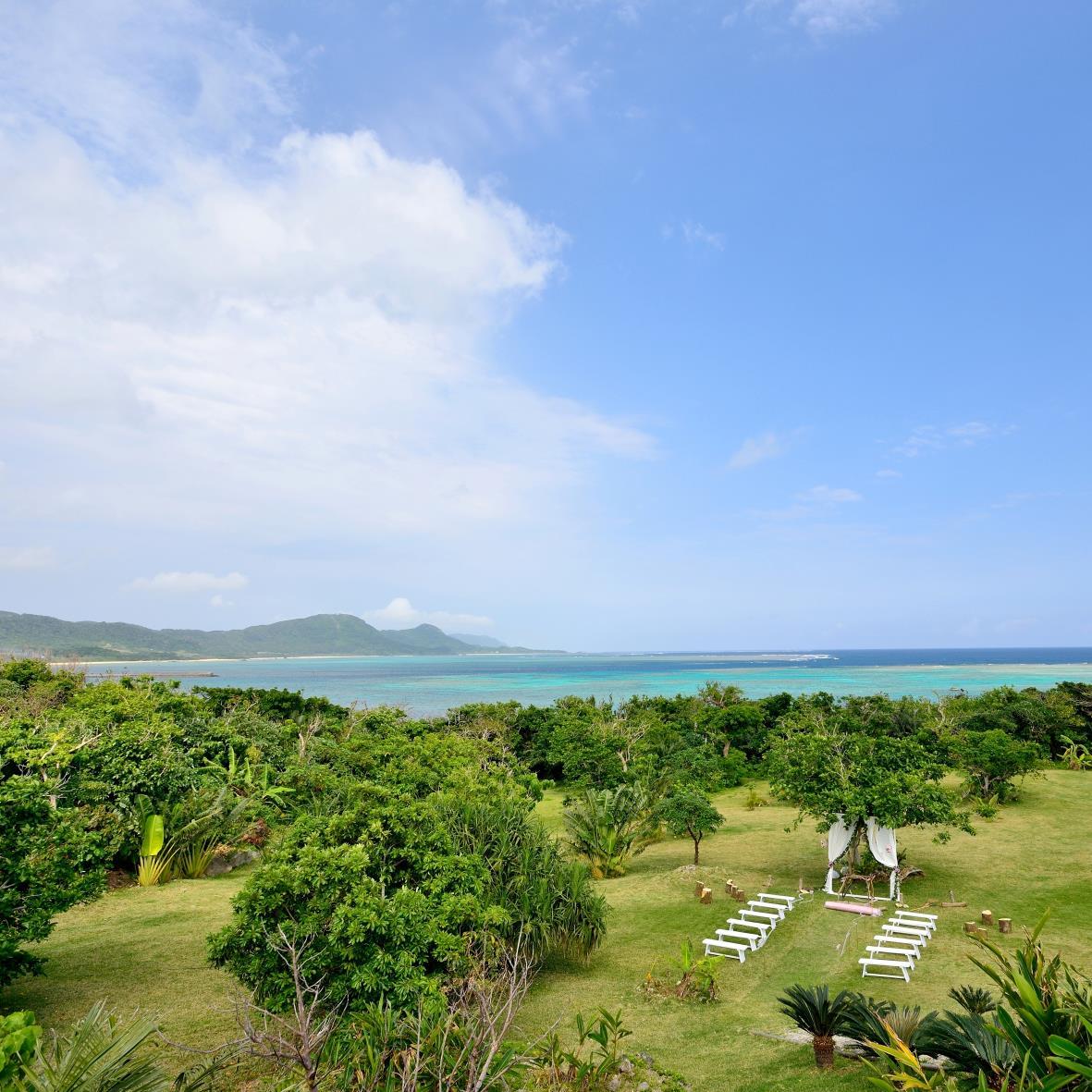 yohei_ik's profile picture. 