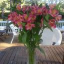 Fonda Jackson - @fjackson1965 - Twitter