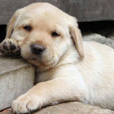 kk4L8dzLCfuIZIP's profile picture. 