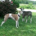 Todd Chaney - @ToddChaney49 - Twitter