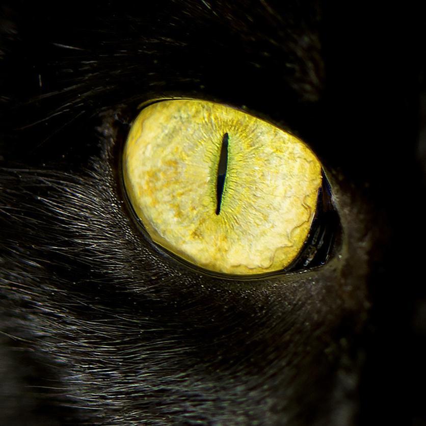 redreiterphotos's profile picture. Proud American. Pro life without apology. 🇺🇸🥧🌭🍔