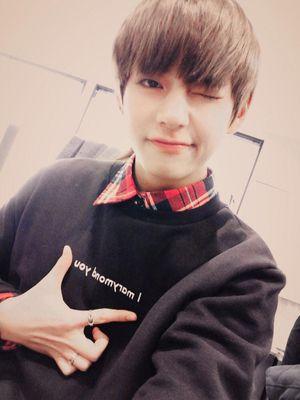 idot mamber - Bangtanboys 1995