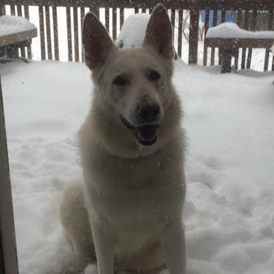 buffdaddy4life's profile picture. Firm believer no Tiger should ever wear the #3 again...and now they never will. Congrats Tram!