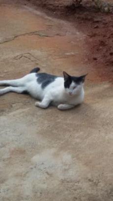 mshameed5's profile picture. 