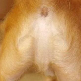 DevendraBanhartかTomMorelloのどちらかでお願いします。 喧嘩商売とドロヘドロはどちらもで！じっちゃけ僕とロボコが1番好きです。アイドルは甘夏ゆずさん推しです。最近は息子の野球とウイスキーにハマってます。 sasquatchfabrix.を好んで着ます。宮城に住んでますが、岩手も好きです。
