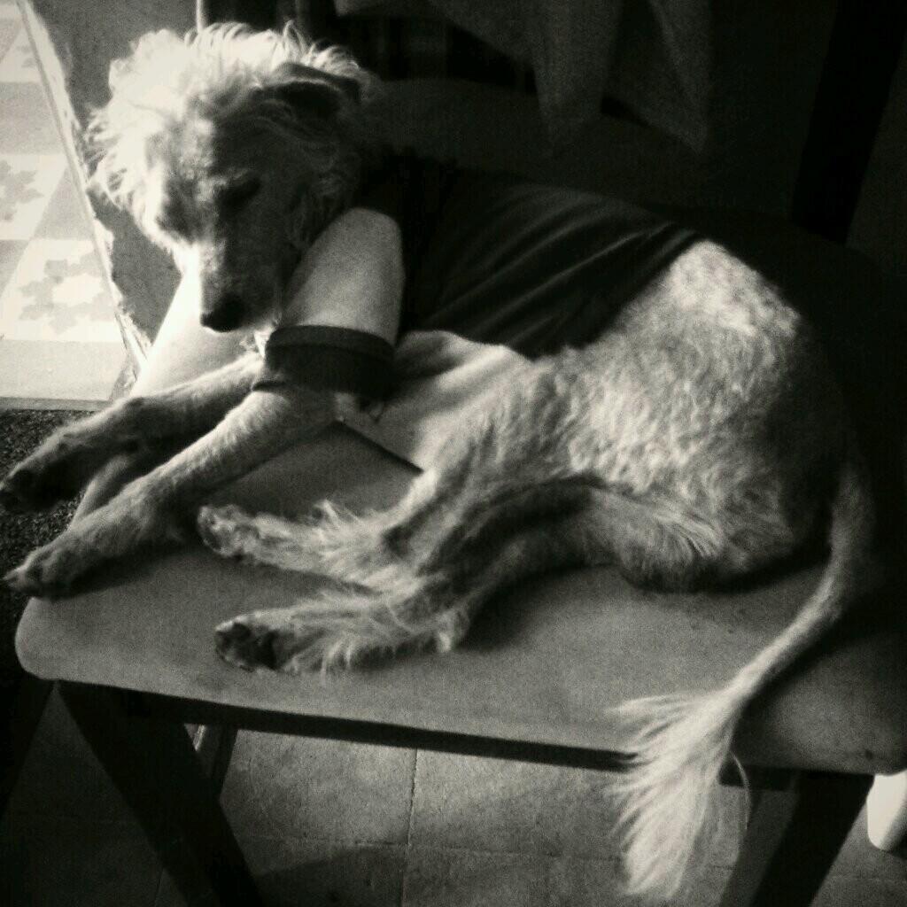 terrisduarte's profile picture. 