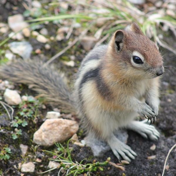 cam51037's profile picture. https://t.co/Y0NyPJRODo 
   Distributed Computing Editor, TGN Partner.