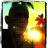 seanobeach's profile image