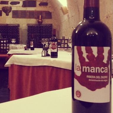 LaMancaVino's profile picture. Ribera del Duero