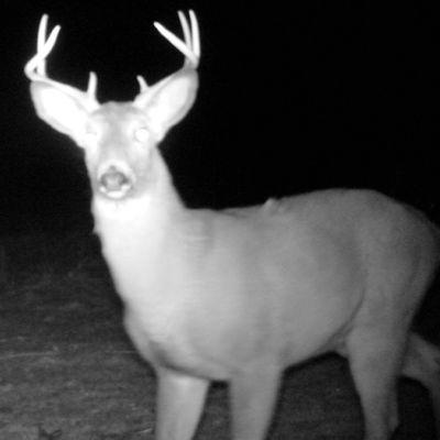 geweckespg's profile picture. 