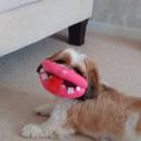 Paula Talbot - @paula36e - Twitter