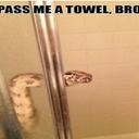 omar tejeda jimenez - @omar_pora - Twitter