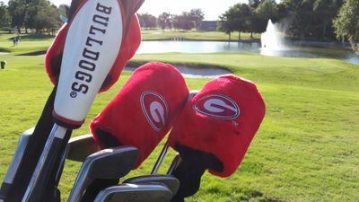 hhilliard92's profile picture. husband, father, Boykin spaniel owner . GO DAWGS!!!