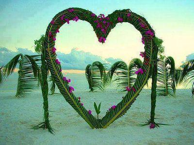 zaheer_zaara's profile picture. 