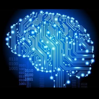 neuralscience's profile picture. Scientist, Informatician and Natural Philosopher